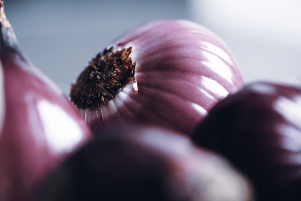 red onions_ blog gut red onions_ blog gut