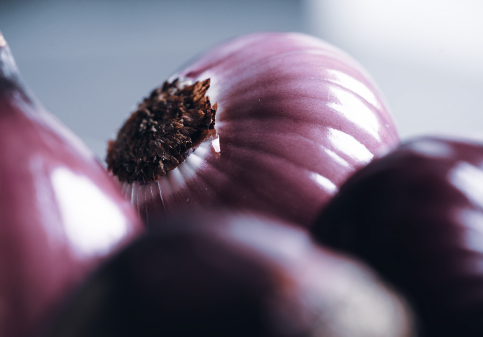 red onions_ blog gut